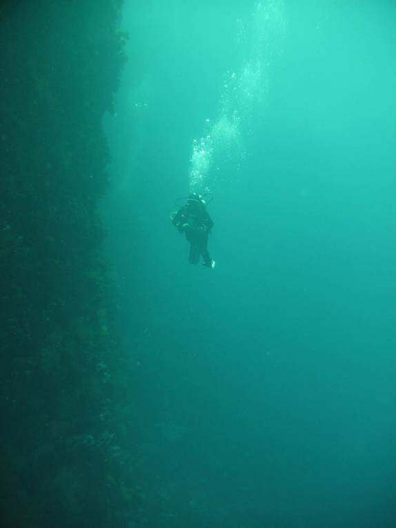 Mergulho ao longo de parede na Isla Isabel, em Galápagos